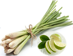 ตะไคร้/ตะไคร้สด/ตะไคร้แช่แข็ง - Product Image 6