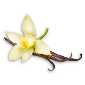 Aceite Esencial de Vainilla Planifolia, Extraído por Solvente, Vainilla Dulce de la India, Aroma para Perfumería, Nutritivo, Reafirmante y Blanqueador para la Piel - Product Image 3