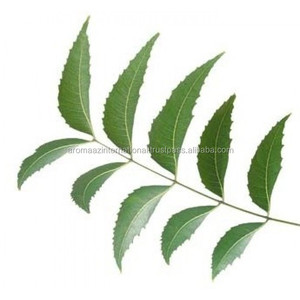 Pura Óleos Transportadora 100% <span class=keywords><strong>Natural</strong></span> Óleo de <span class=keywords><strong>Neem</strong></span> Fornecedores na Embalagem Private Label para o Aroma Uso