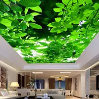 3d infinity UV print PVC spanplafond mooie landschap aangepaste plafond die systeem laagste prijs in india