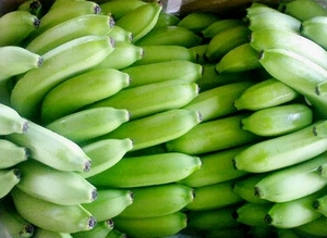 Plátano Cavendish Fresco de Alta Calidad - Vietnam, Certificado ISO, Piel Verde, Pulpa Dulce - Product Image 4
