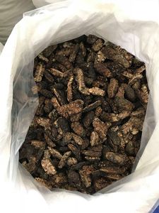 FRY NONI, gran cantidad, buen precio - Product Image 2