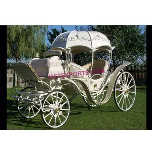 कद्दू शैली शादी सिंड्रेला घोड़ा गाड़ी मीठा सिंड्रेला घोड़े Carriages खींचा शादी सिंड्रेला छोटी गाड़ी