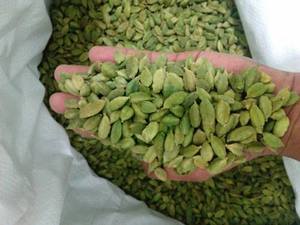 Semillas de Cardamomo Verde Natural Crudas de Primera Calidad, Alta Calidad, 25 kg, Precio de Fábrica, Venta al por Mayor - Product Image 3