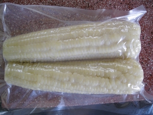 Congelé maïs bouilli cuits surgelés épluchés de maïs sucré congelé maïs WHATSAPP + 84-845-639-639 - Product Image 6