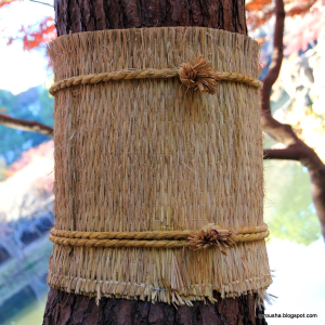 Alfombrilla de sedge de calidad de Vietnam para vacaciones en árboles - Product Image 3