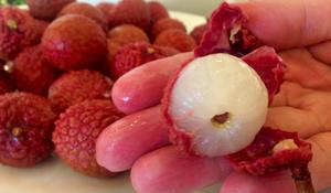 LYCHEES แห้งพืช - Product Image 3