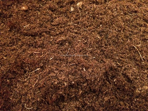 Mousse de pivoine soluble, japon - Product Image 6