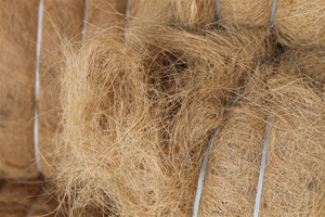 Fibra de coco de alta calidad, fibra de coco con humedad 18% MAX ( WHATSAPP : + 84-907 377 828) - Product Image 4