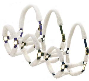 Newly Arrived Shepra Horse <b>Halter</b> at Unbelievable Price - Product Image 1