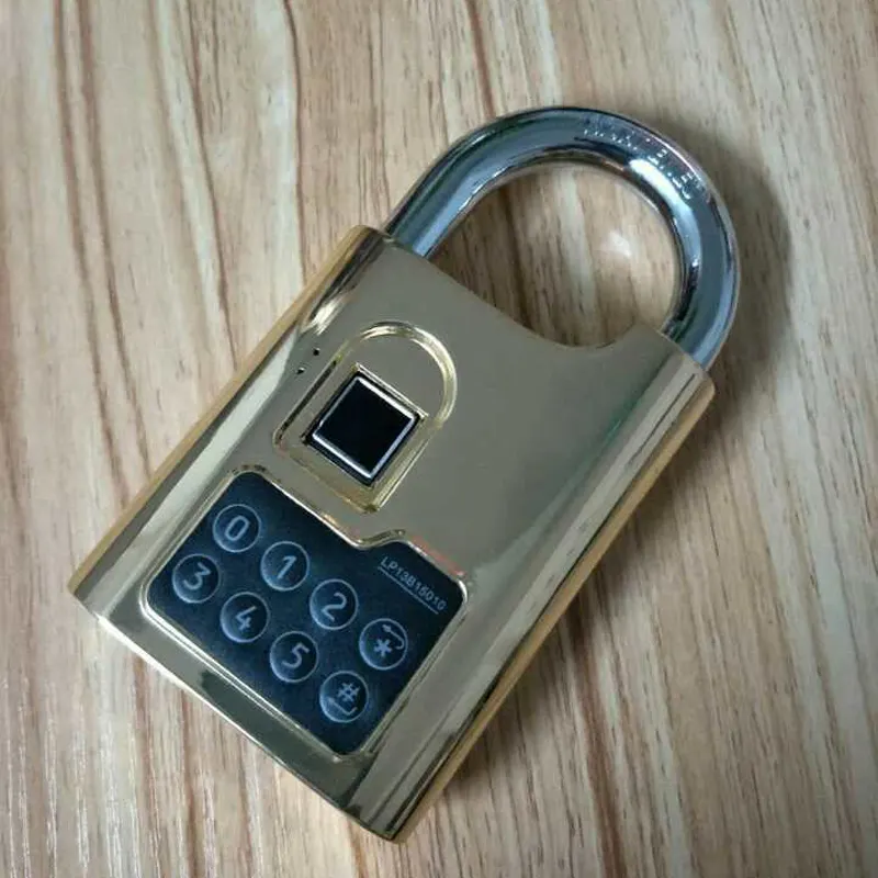 Padlock1.0 della porta di impronte digitali di blocco lucchetto con password