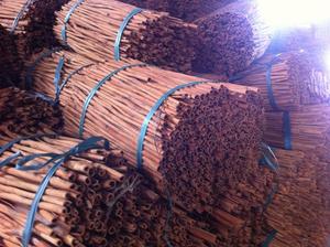 Offre Spéciale : Cannelle de Cassia du Vietnam, Cassia fendue VO 3%, Cassia séchée en vrac, Exportation, Vente en gros, Approvisionnement direct usine - Product Image 2