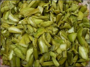 COLOCASIA ESCULENTA cuerpo 2020 - Product Image 4
