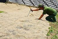 Tissu géotextile en jute de style industriel, non tissé, pour la protection des sols, contrôle de l'érosion, filet en jute naturel, tapis de drainage, protection des pentes