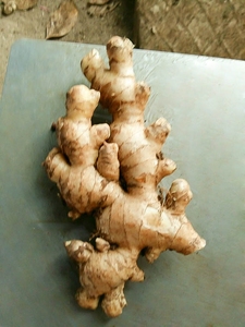 Gingembre frais/Meilleure qualité/Produit spécial Vietnam 2021 - Product Image 2