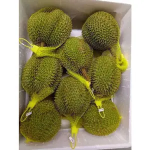 马来西亚新鲜水果的Musang King榴莲