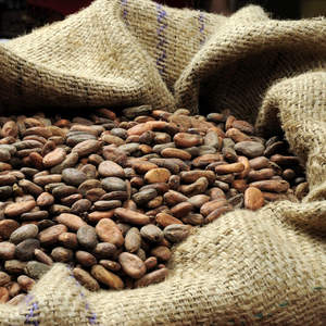 BONNE Fèves de Cacao De Haute Qualité - Product Image 1