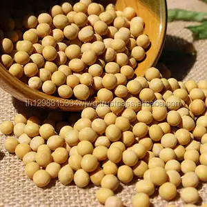 Soya/Soya fasulyesi, Soya fasulyesi, Soya fasulyesi tohumları