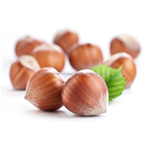 Suministro de fábrica, el mejor precio, aceite de avellana orgánico certificado ISO, líquido prensado en frío al por mayor - Product Image 3