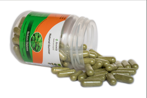 Gurmar-Suplemento Herbal orgánico, cápsula Natural, suplemento Herbal, Gymnema sylvesta - Product Image 2