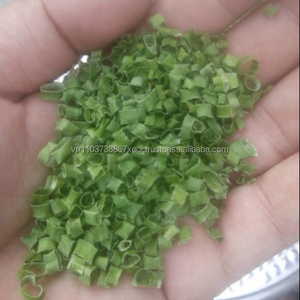 Cebolla Verde Deshidratada - Cebolleta de Primera Calidad Deshidratada de Vietnam - Product Image 4