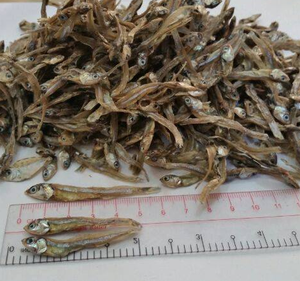 Anchoas Secas Vietnamitas, Buen Precio por Calidad - Product Image 3