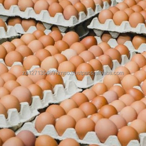 Huevos Frescos de Color Amarillo Brillante, Origen ZA, Empaque OEM, Bajo Precio, 60g, 6 Meses de Vida Útil - Product Image 5