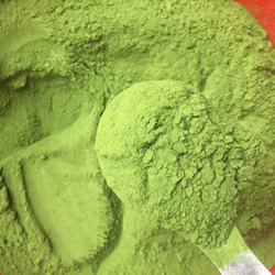 Hojas de yema de Cassava, hojas de yema picada, ángulo de 500g - Product Image 6