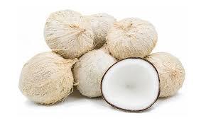 COCO SECO - Product Image 3