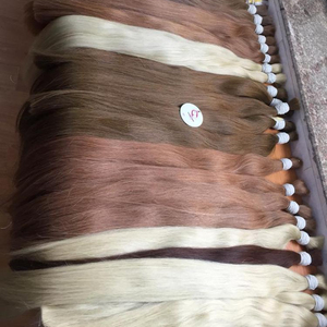 Proveedor Mayorista de Cabello, Extensiones de Cabello de Color, Cabello Virgen Remy Vietnamita 100% Sin Procesar, Grado 10A, Liso, 6-28 Pulgadas, a Granel - Product Image 1