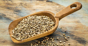 Semillas de Cáñamo Agrícolas de Grado Alimenticio, Origen Sudáfrica, Venta al por Mayor para Uso Público en la Producción de Aceite Vegetal - Product Image 2