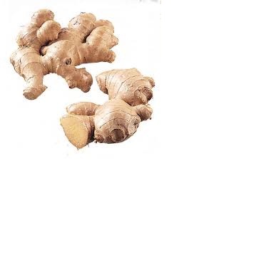 Matured Fresh Ginger - COMPETITIVE PRICE WHATSAPP+84-845-639-639