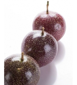 EXTRAIT D'ÉLÉMENCE DE FRUIT DE LA PASSION - Fruit de la Passion Vietnamien/ Extrait d'Élément/ Arôme de Fruit - Product Image 6