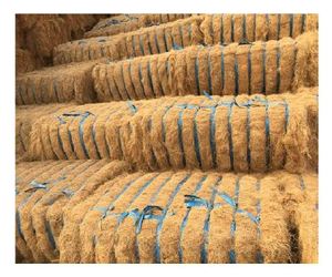 Offre Spéciale FIBRE DE NOIX DE COCO AVEC LE PRIX LE MOINS CHER - Product Image 4