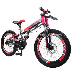 New model children bicycle for 10 years old kids bike 20 inch