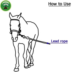 Cordelette de cow-boy en NYLON, licou, en diamant rouge, cheval avec pistes de COWBOY, RODEO, booster par Riaz, Intel - Product Image 6