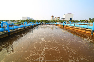 Producto microbiano para planta de tratamiento de aguas residuales para reducir el olor - Product Image 3