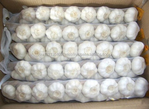 ISO Certified New Crop <b>Fresh</b> <b>Garlic</b> From ZA with 1-2 Year Shelf Life - Product Image 2