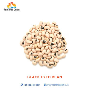 Frijoles Negros para Exportación en Bolsas de PP de 15kg/25kg/50kg, Vida Útil de 2-3 Años, Certificados por APEDA e ISO - Product Image 1
