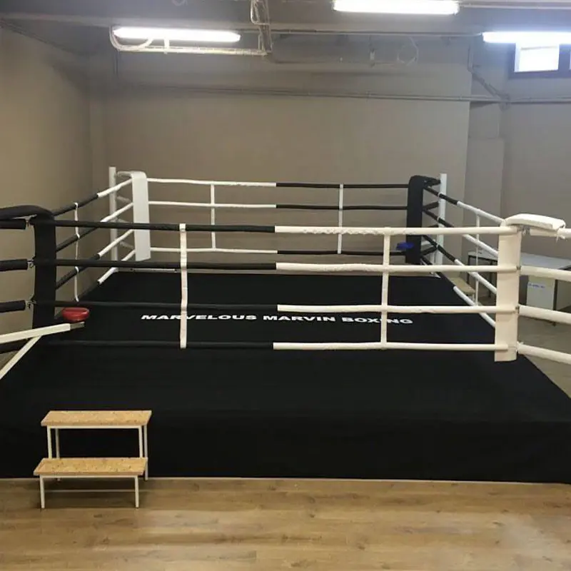 Anillo de boxeo de alta calidad, jaula de lucha de MMA, estándar internacional de fábrica, para exportación