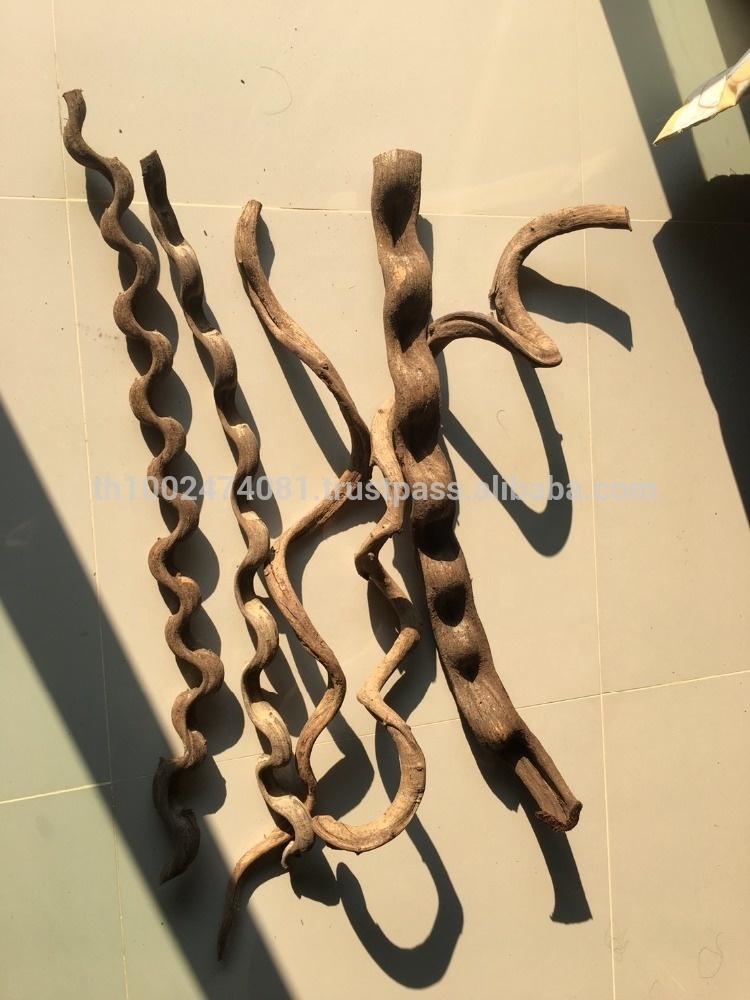 fish tank accessories thailand Mechpia 13 Pieces Aquarium Decorations Kit, Decorations Set Small Resin Castle and Rockery Betta Fish Cave Hideout Coral Artificial Plastic Plants Ornament : Pet Supplies as they are highly toxic to fish. Thailand Driftwood, Small Aquarium Driftwood,