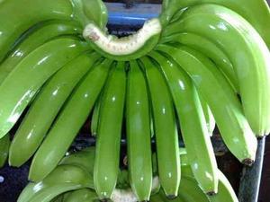 Meilleures bananes Cavendish vertes de qualité supérieure 100% Premium, 1 kg, Afrique du Sud, fraîches, prix bas - Product Image 4