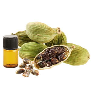 Huile essentielle 100% Pure Elettaria Cardamomum pour l'aromathérapie alimentaire et les soins de la peau en vrac exporté d'Inde - Product Image 2