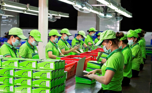 Cortaúñas de Acero Inoxidable N-03 NGHIA, Set de Manicura y Pedicura al por Mayor, Suministros para Arte de Uñas, Marca Privada para Salón - Product Image 6