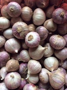 Ail SOLO en acier inoxydable, ail à trèfle simple, de haute qualité, du Vietnam - Product Image 6