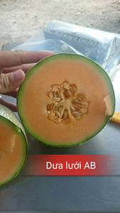 ผลไม้แคนตาลูปมาตรฐานยุโรป// คุณเจนนี่ - Product Image 2