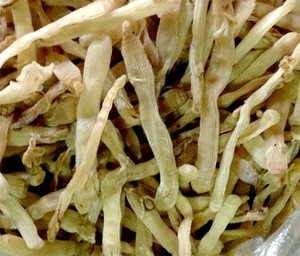 Gusanos Marinos Secos al por Mayor/ Sipunculus Nudus Seco - Product Image 1