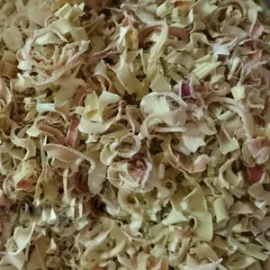 Dried slices lemongrass/ Lemongrass dried High quality spices (whatsapp +84 845 639 639)