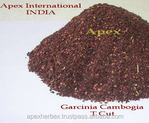 Extrait de Garcinia Cambogia Extrait de Garcinia - Product Image 5