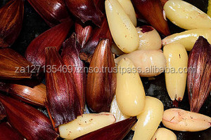 Venta al por Mayor de Granos de Cacahuete Secos y Blanqueados Naturales, Dulces y Crujientes, Altamente Nutritivos y de Primera Calidad - Product Image 3